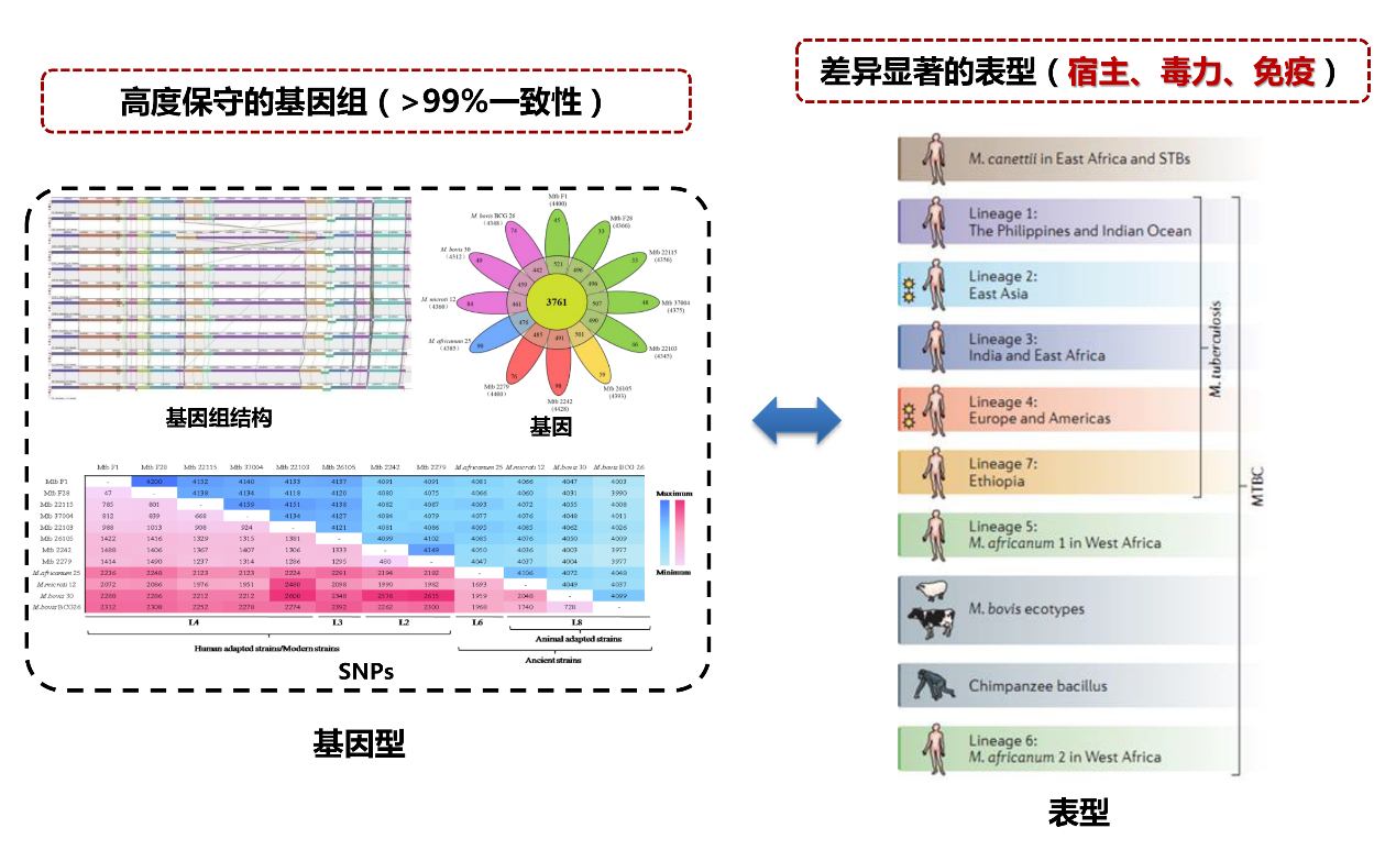 GA黄金甲·体育(中国)官方网站