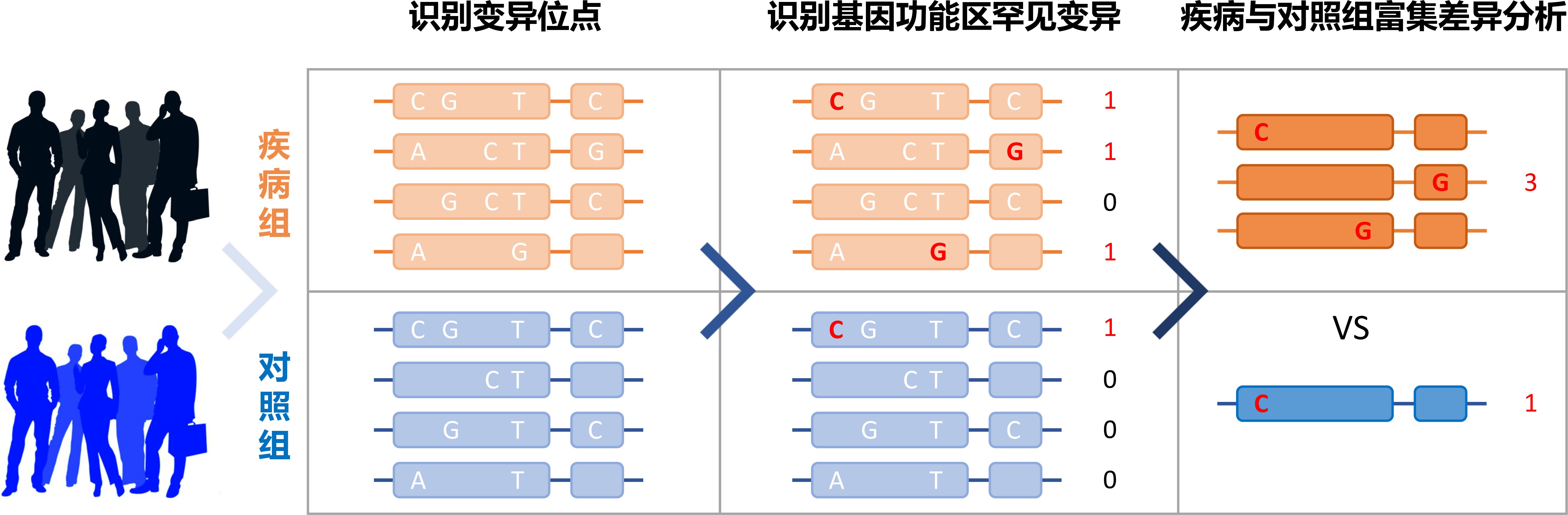 GA黄金甲·体育(中国)官方网站