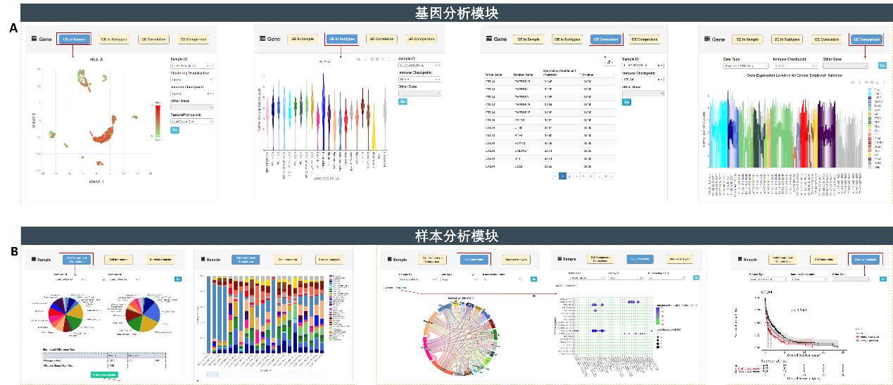 GA黄金甲·体育(中国)官方网站